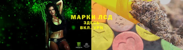 сатива Верхнеуральск