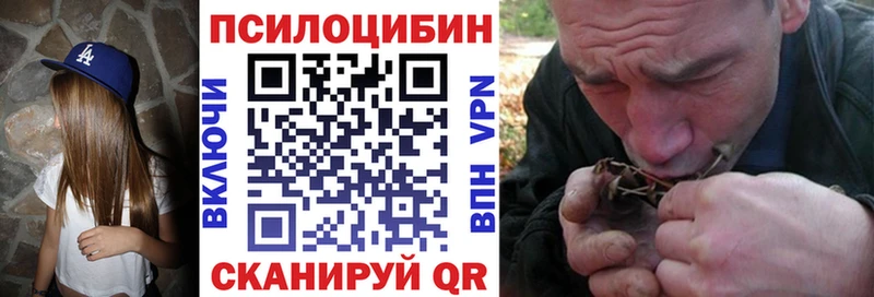Галлюциногенные грибы Psilocybine cubensis  Заполярный 